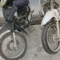 دوتا ویو مزایده