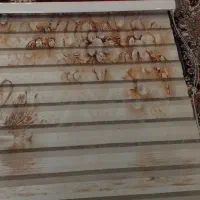 پره زبرا دو عدد در سایز های مختلف