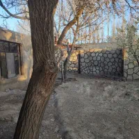 باغ باغچه