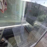 یخچال صنعتی و قصابی در حد نو