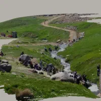 تور یک روزه همدان گردی( ویژه بانوان)