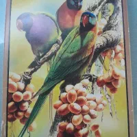 پازل ۳۰۰ تکه