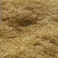 کاه عدس ارشق