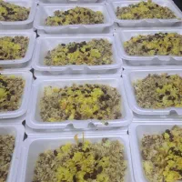 کارگر اشپز خانه