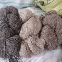 نخ قالی دست باف  هریس اهر