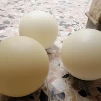 چراغ حبابی