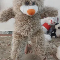 خرس بزرگ مورچه خرگوش پت ومت