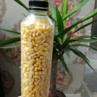 ذرت دان شده