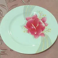 پلو خوری ملامین