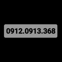 0919*206*60*49