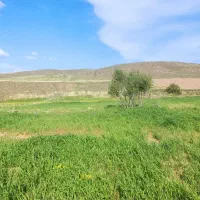 فروش زمین در نقطه بندی
