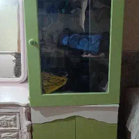 ویترین نوزاد