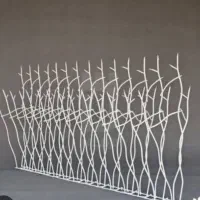 فروش شاخ گوزنی