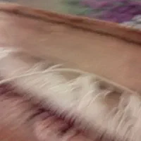 نان خشک