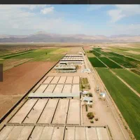 فروش-زمین-مناسب-مزرعه-پنل-خورشیدی