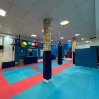 منشی آقا باشگاه