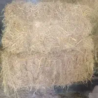 کاه|لوازم جانبی حیوانات|سنگر, |دیوار