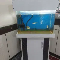 آکواریم