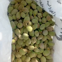 بادام