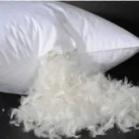 بالش