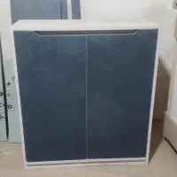 جاکفشی