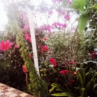 فروش فووری ویلاباغ