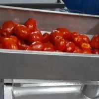 آب گوجه گیری