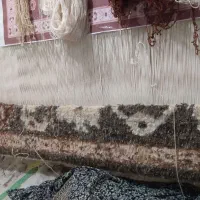 استخدام حقوق ثابت + پورسانت +کنترات