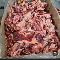 غذای سالم برایه سگ گربه شما (ضایعات گوشت
