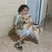 پامر باهوش