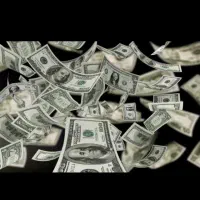 فیش نیست طلاست/ تضمینی