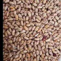 لوبیا چیتی ۳۷۰