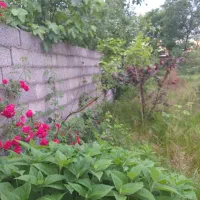 زمین چهار دیواری ۴۰۰متر سنگر