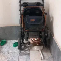 کالسکه نو