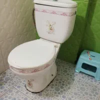 توالت فرنگی