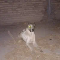به خاطر نداشتن جا
