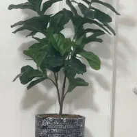 گل مصنوعی(درختچه تزئینی)