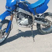 تریل آمیکو
