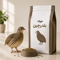 فروش دان بلدرچین باکیفیت