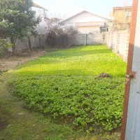 زمین مسکونی ۲۴۹متر آقا سید علی کیا سند پروانه