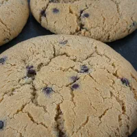 دسر روزانه (براونی ، تیرامیسو و کوکی نیویورکی)