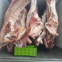 گوشت گوساله،گوسفند،لاشه،تیکه‌ای چرخ کرده و دنبه