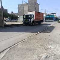 آمیکوباری402