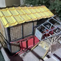 قفس سگ اهنی