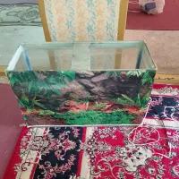 آکواریوم