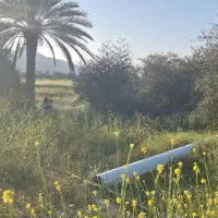 اجاره-زمین-کشاورزی