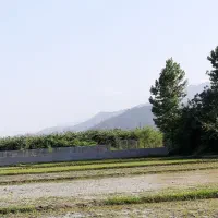 فروش زمینی به مساحت ۴۲۰متر در حویق