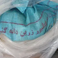 دان ماهی گرمابی با پروتئین بالا