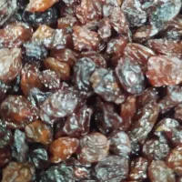 کشمش آفتابی،شیره انگور تاکستان