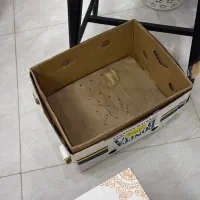 خانه و اشپزخانه